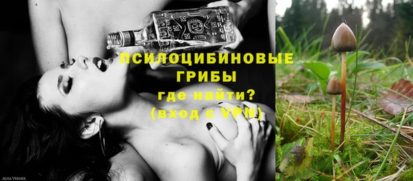 ГАЛЛЮЦИНОГЕННЫЕ ГРИБЫ Армянск