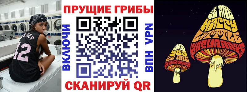 Галлюциногенные грибы MAGIC MUSHROOMS Приволжск