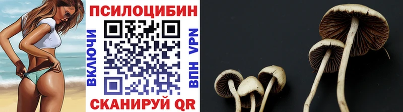 ссылка на мегу как войти  Приволжск  Псилоцибиновые грибы GOLDEN TEACHER 