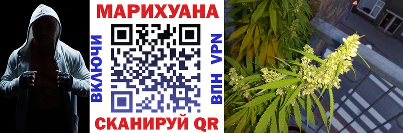 Бошки Шишки конопля  Приволжск 
